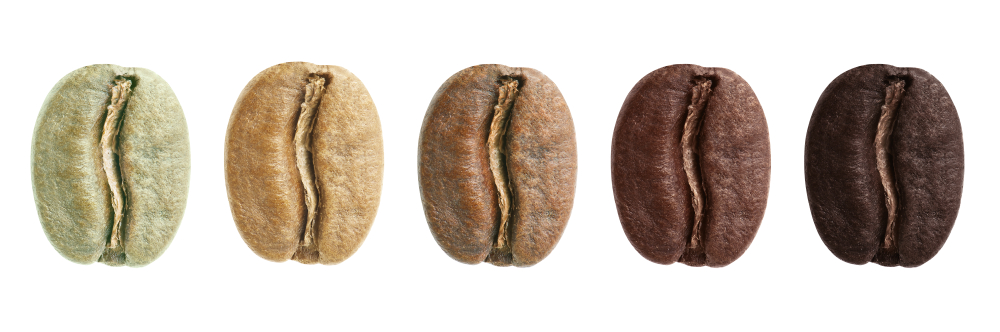 Verschiedene Röstungsgrade einer Kaffeebohne